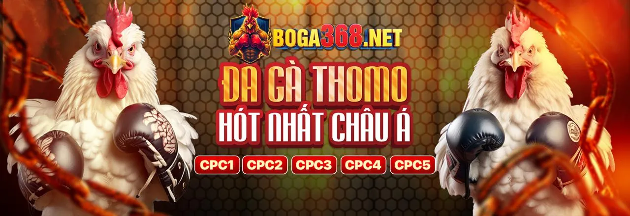 Sân vận động thể thao với logo ku888 app