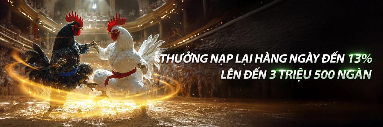 Đá gà trực tuyến KU888 APP với trận đấu kịch tính